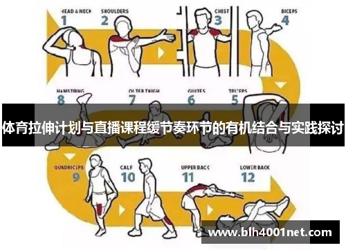 体育拉伸计划与直播课程缓节奏环节的有机结合与实践探讨