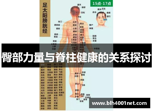 臀部力量与脊柱健康的关系探讨